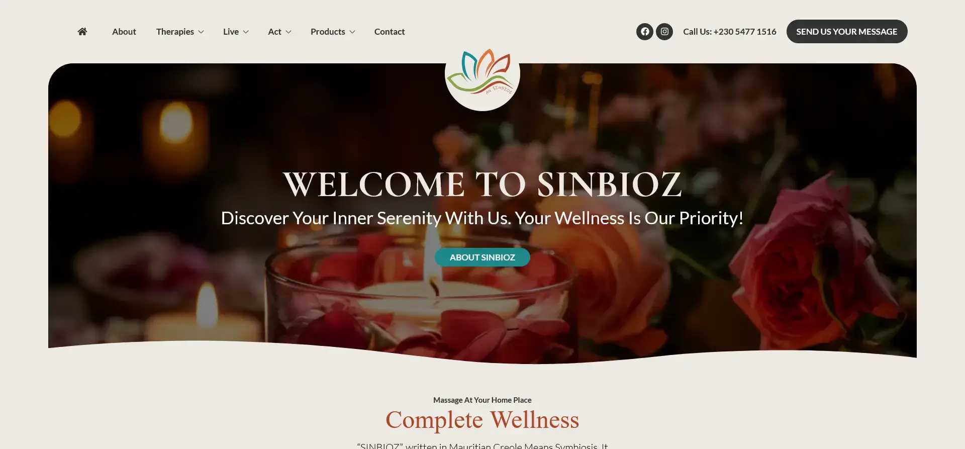 Sinbioz website
