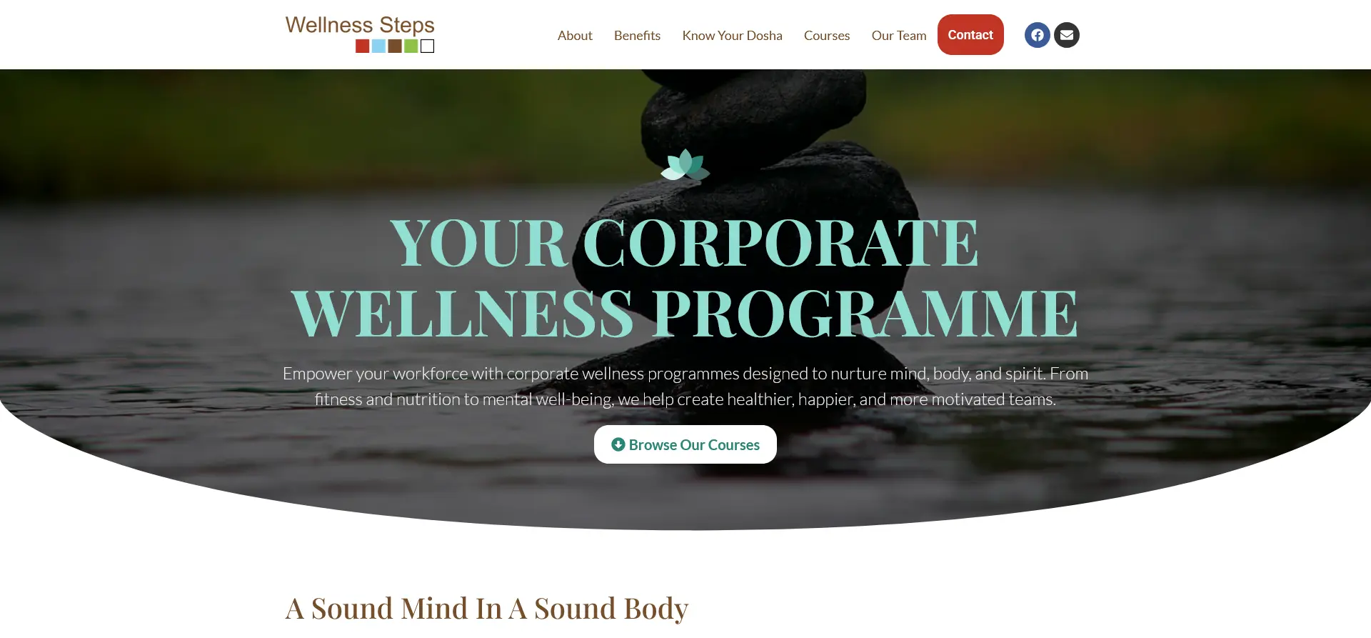 Wellness Steps website